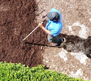yard-man-spreading-mulch-in-outdoor-garden-area-of-2022-08-01-03-58-01-utc